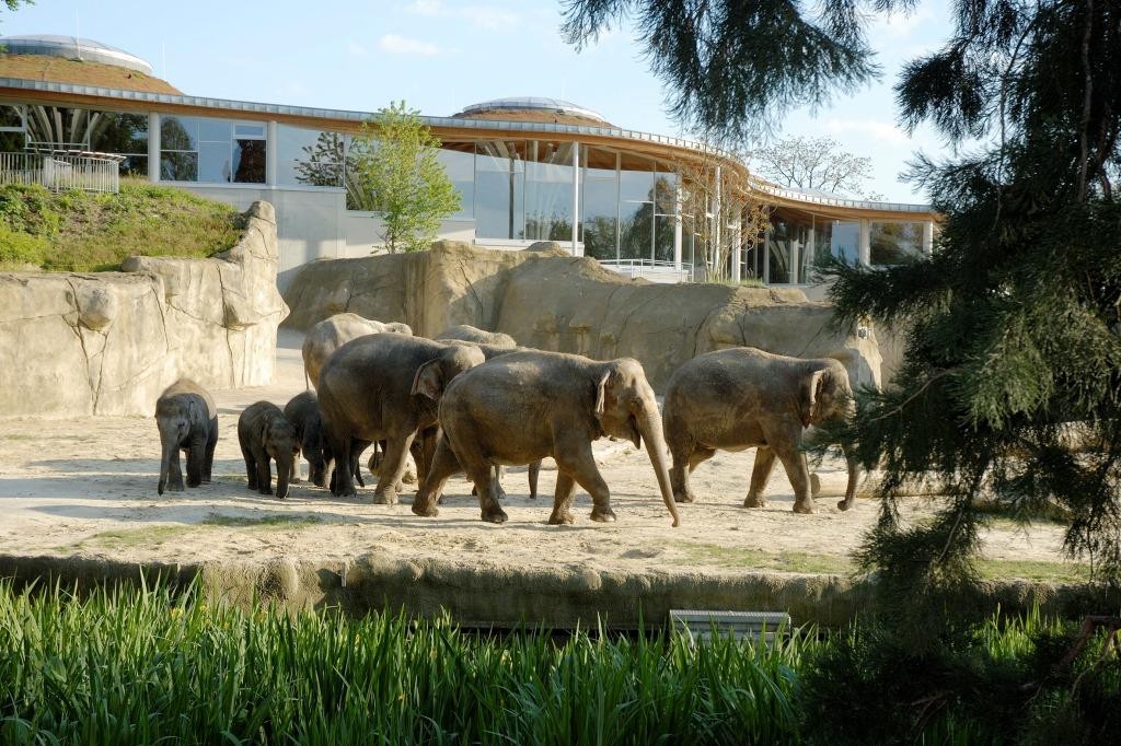 Kölner Zoo und weitere regionale Unternehmen durch Landesumweltminister Johannes Remmel und Bürgermeister Andreas Wolter ausgezeichnet copyright: Kölner Zoo
