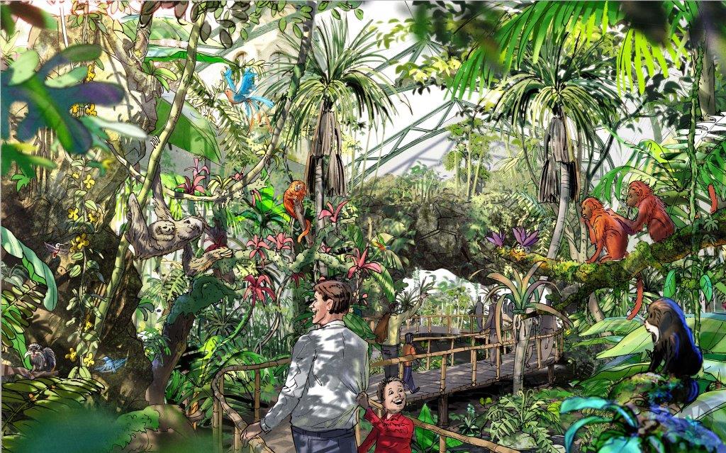 Theo Pagel: „Nach Sanierung und Umbau wollen wir unseren Gästen eine attraktive Regenwaldlandschaft präsentieren, in der sich Affen, Vögel und andere Tiere Mittel- und Südamerikas frei bewegen können.“ copyright: danpearlman
