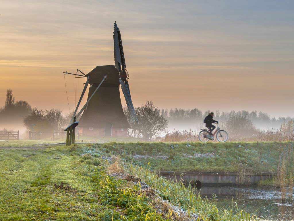 Per Fahrrad auf Genuss-Tour in den Niederlanden copyright: Envato / CreativeNature_nl