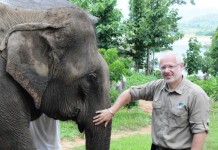 Elefantenkurator und Zoodirektor Prof. Theo B. Pagel freut sich über den Nachwuchs (Archivbild) - copyright: Kölner Zoo
