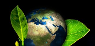 Nachhaltigkeit als Trend: Umweltfreundlich vom Auto bis zur Brille copyright: pixabay.com