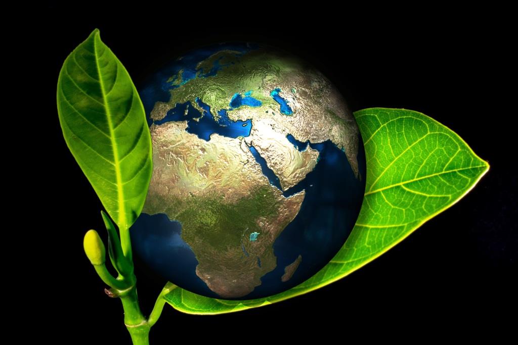 Nachhaltigkeit als Trend: Umweltfreundlich vom Auto bis zur Brille copyright: pixabay.com