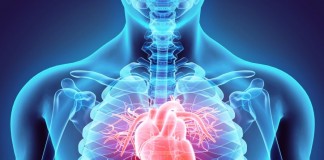 Wie man eine Herzrhythmusstörung erkennt, wie sie behandelt wird und wo Betroffene individuelle Beratung und Unterstützung erhalten, dazu informierten die Experten am Lesertelefon. - copyright: yodiyim / fotolia