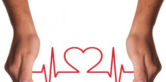 Risikofaktor für chronische Herzerkrankungen: "Herzrhythmusstörungen immer abklären lassen!" copyright: pixabay.com
