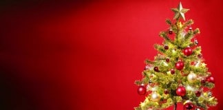 Spendenaktion LVR-Charitybaum sorgte für weihnachtliche Bescherung - copyright: pixabay.com