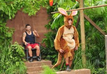 Tag 11 im Dschungelcamp: Honey mit Marc in einer elektrisierenden Dschungelprüfung – Gina-Lisa muss gehen Warum schaut man das Dschungelcamp? - Foto: RTL / Stefan Menne Alle Infos zu Ich bin ein Star - Holt mich hier raus! im Special bei RTL.de