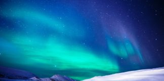 Spektakuläre und unvergessliche Erlebnisse: Eine Reise in die Arktis - copyright: pixabay.com