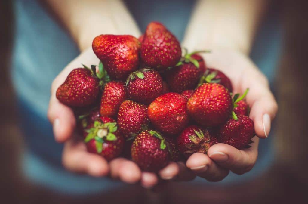 Naschen Sie sich mit Erdberen gesund! - copyright: pixabay.com