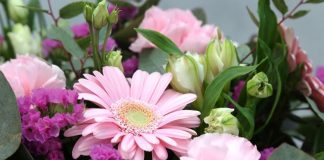 Mit der richtigen Pflege halten Schnittblumen deutlich länger - copyright: pixabay.com