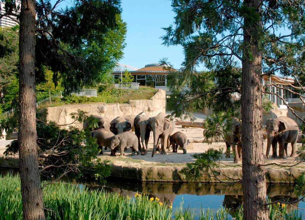 Auch im Sommer tierisch viel los: Der Kölner Zoo copyright: Kölner Zoo