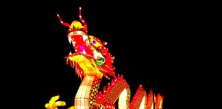Großes China Light Festival sorgt für strahlende Momente im Kölner Zoo copyright: Kölner Zoo