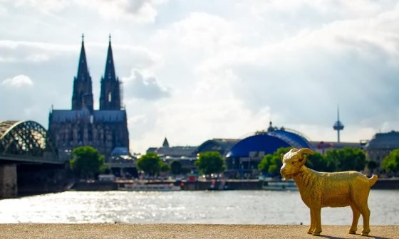 Vom Rheingarten aus hat man die perfekte Sicht auf Kölner Dom, Hohenzollernbrücke, Musical Dome und Fernsehturm. copyright: CityNEWS / Alex Weis