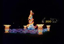 Das China Light Festival im Kölner Zoo wird fortgesetzt. copyright: CityNEWS