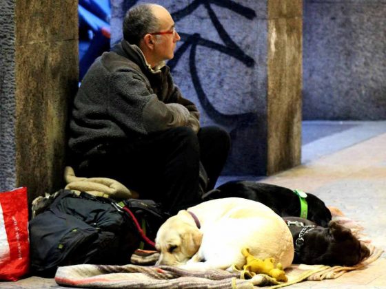 Auch für Obdachlose mit Tieren wird es Unterkünfte in der kalten Jahreszeit geben. copyright: pixabay.com