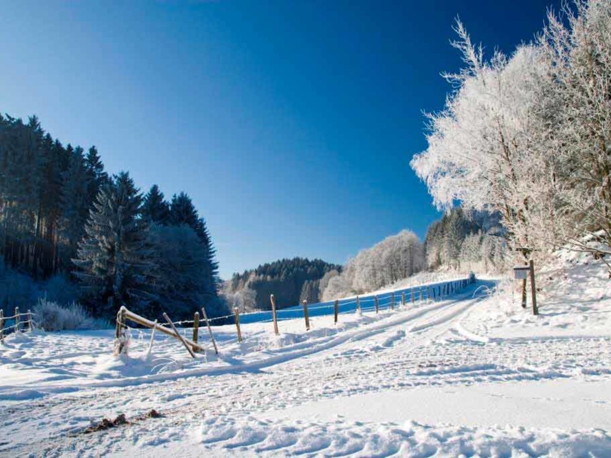Naturtipps Winter - NABU - NRW