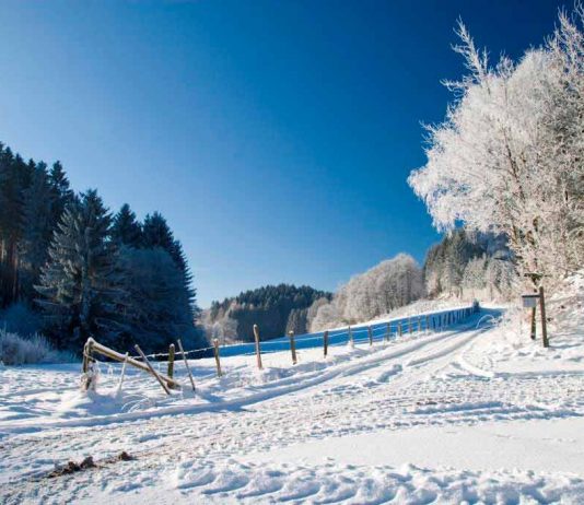 Erleben Sie mit CityNEWS den Winter in NRW copyright: Sauerland-Tourismus e.V