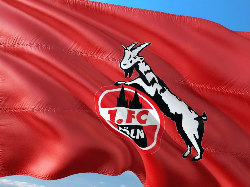 Der 1. FC Köln in der 2. Bundesliga: 34 Spieltage, 17 Gegner, 1 Ziel copyright: pixabay.com