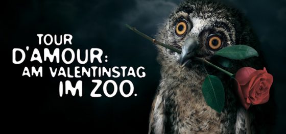 Auf romantische Entdeckungstour im Kölner Zoo copyright: Kölner Zoo