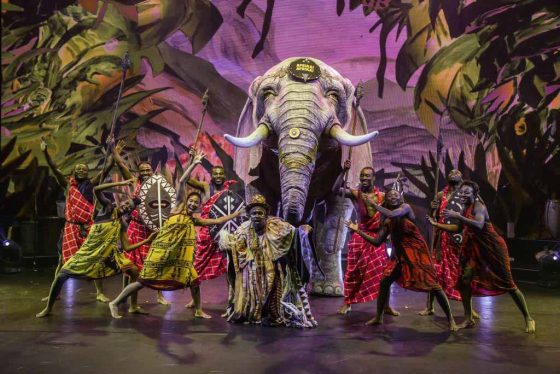 Elefant "Dumbo" geht mit auf große Tournee. copyright: Nilz Böhme