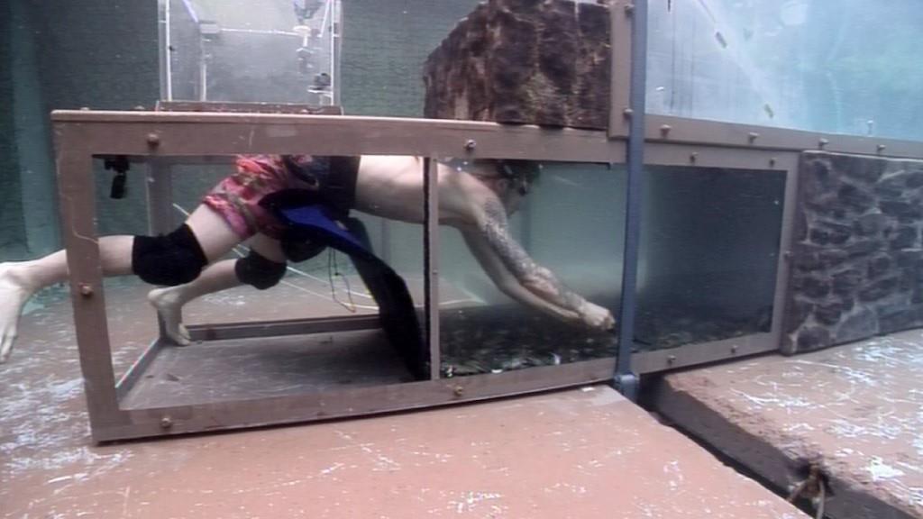 Daniele verlässt die obere Luftkammer und taucht in die erste Kammer unter Wasser. Foto: MG RTL D Alle Infos zu 'Ich bin ein Star - Holt mich hier raus!' im Special bei RTL.de