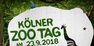 Kölner Zootag 2018: Bestes "Beschäftigungsprogramm" für die ganze Familie copyright: Kölner Zoo