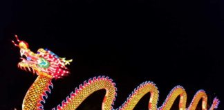 China Light Festival: Der Lichterzauber geht weiter! copyright: CityNEWS / Alex Weis