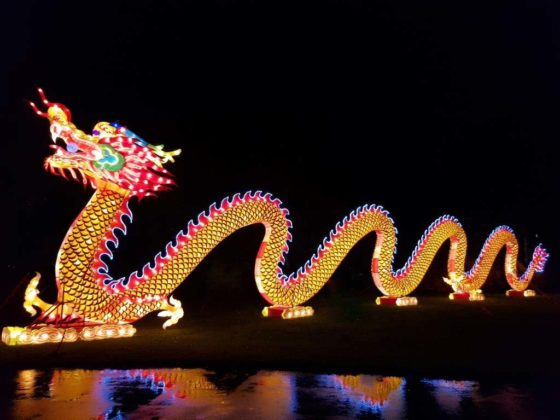 China Light Festival: Der Lichterzauber geht weiter! copyright: CityNEWS / Alex Weis