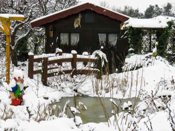 Haus und Garten auf die Kälte vorbereiten copyright: pixabay.com