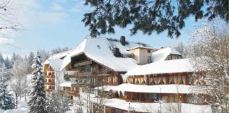 Mit CityNEWS zur Entschleunigung in den Schwarzwald copyright: Hotel Schöne Aussicht