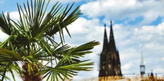 Sommer in Köln und der Region: Die besten Ausflugs- und Freizeit-Tipps! copyright: CityNEWS