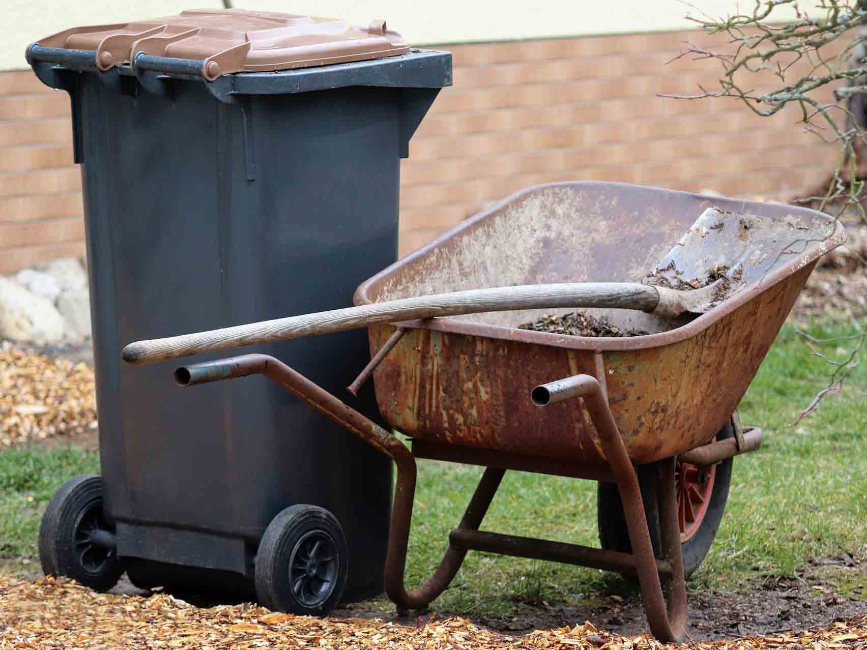 Bis zu 40 Prozent des Mülls, den die Bürger in den grauen Behältnissen für Restmüll entsorgen, besteht immer noch aus Küchen- und Gartenabfälle, die in die braune Bio-Tonne gehören. copyright: pixabay.com