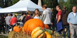 Es wird Herbst im Brückenkopf-Park Jülich: Das Parkfest mit Herbstmarkt copyright: Horrig