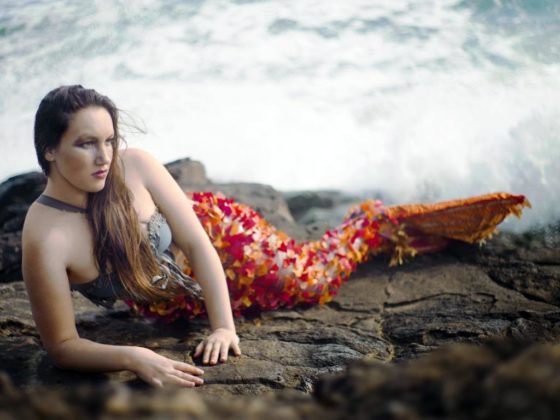 Einmal Meerjungfrau sein muss kein Traum bleiben. copyright: pixabay.com