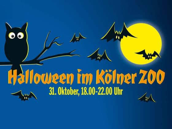 Tierischer Gruselspaß zu Halloween im Kölner Zoo