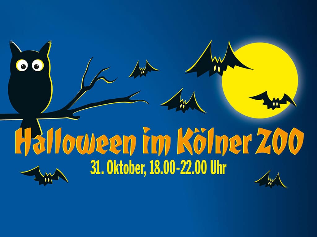 Tierischer Gruselspaß zu Halloween im Kölner Zoo