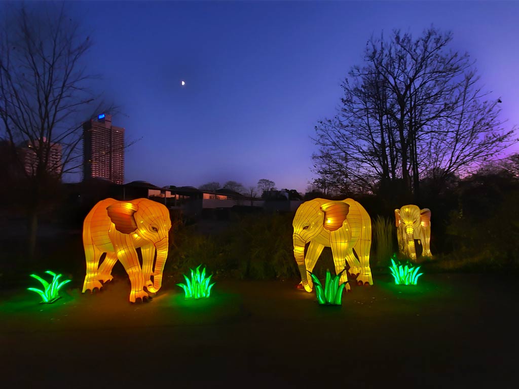 Zur Zeit findet das China Light Festival im Kölner Zoo statt. copyright: CityNEWS