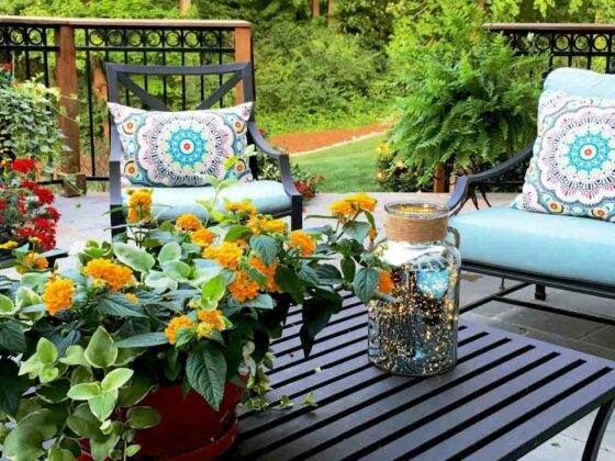 CityNEWS hat hier einige praktische Tipps zum Frühjahrsputz im Garten und auf der Terrasse für Sie!