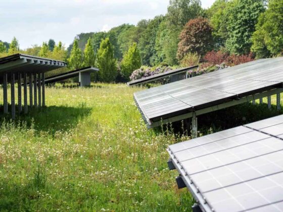 Der Kölner Dienstleister betreibt mehr als 25 Photovoltaik-Anlagen.