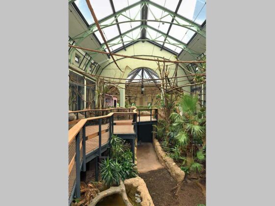 Im Kölner Zoo wurde nach Sanierung des historischen Arnulf-und-Elizabeth-Reichert-Haus eine neue Dschungel-Erlebniswelt eröffnet,
