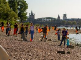 Bei der Aktion "Rhein Clean up 2019" haben verschiedene Vereine zwischen Basel und den Niederlanden etwa 400 Tonnen Abfall gesammelt. Nun hat der Verein K.R.A.K.E. das Pilotprojekt "Müllfalle" ins Leben gerufen.