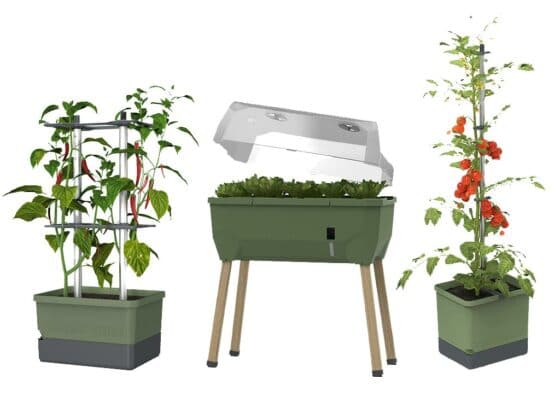 Gewinnen Sie mit Gusta Garden und CityNEWS ein Urban Gardening-Paket.