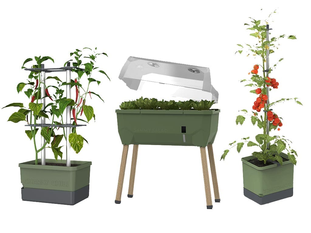 Gewinnen Sie mit Gusta Garden und CityNEWS ein Urban Gardening-Paket.