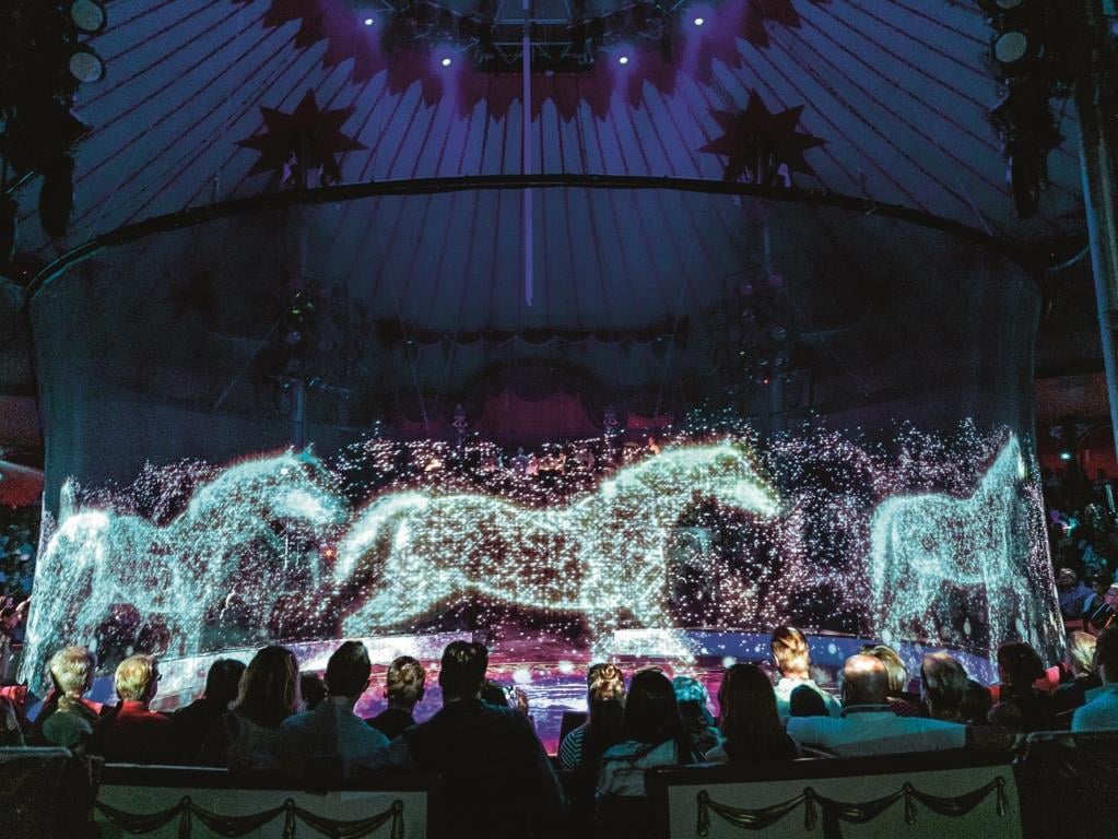 Innovation im Zirkuszelt: Hologramme für das Tierwohl