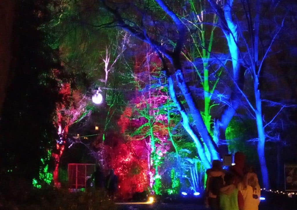 Über 25 individuellen Lichtinstallationen verwandeln den Zoo in einen farbenprächtigen Wintertraum.