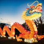Magische Lichterreise: China Lights im Kölner Zoo