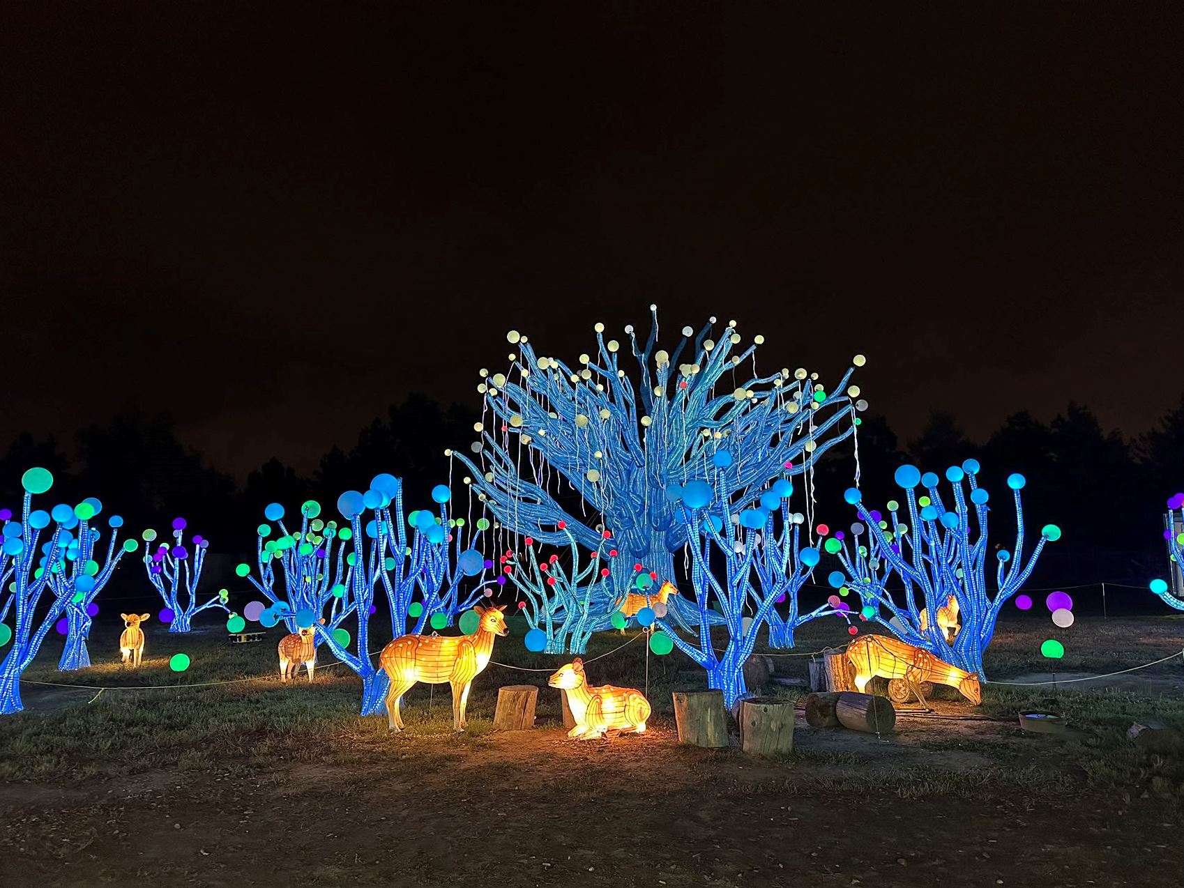 Dieses Jahr feiern die China Lights ihre vierte Auflage als Illuminationsspektakel für die ganze Familie.